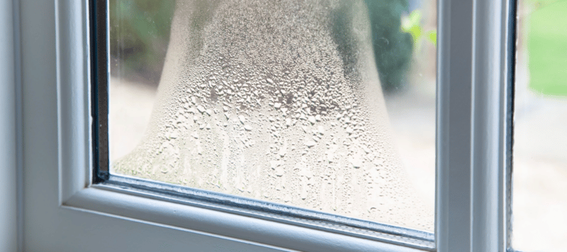 picture of condensation gathered on a window