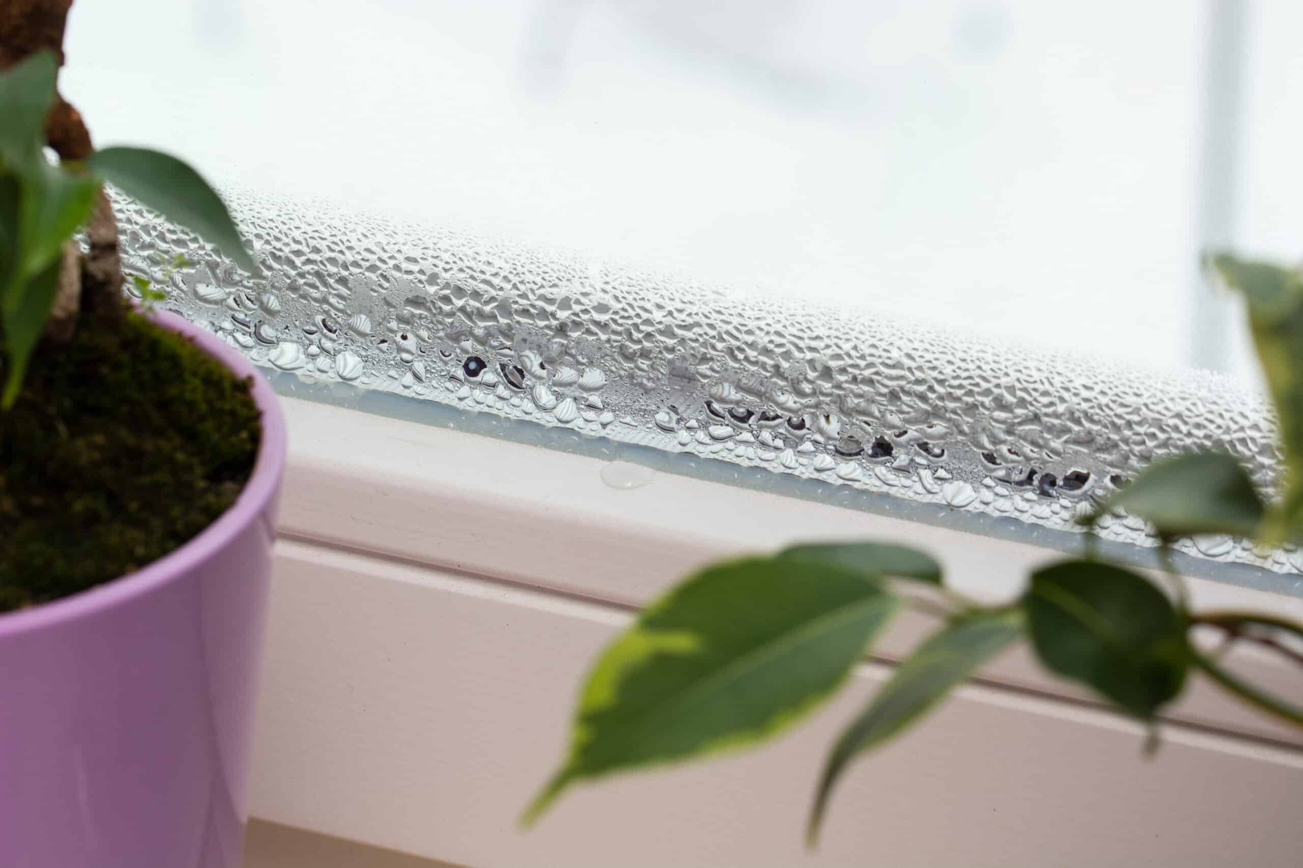 Top 3 Causes of Windows Leaking Why Are My Windows Leaking? WindowPRO