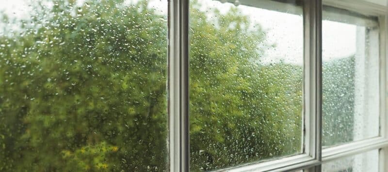 closeup of single pane windows showing green trees in the background and with rain drops sitting on the window suggesting weather outside